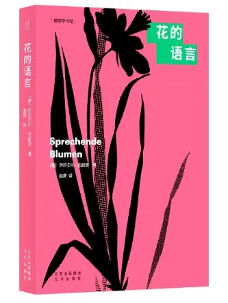 from clipboard from clipboard